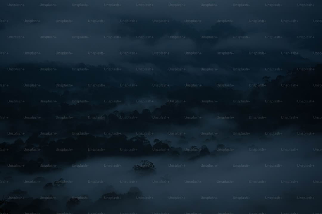 《与晋长安》三个身份是什么?